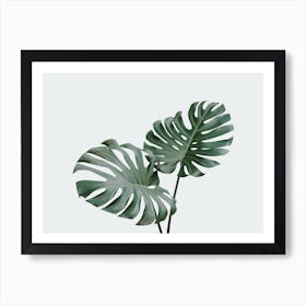 Monstera Leaf Art Print