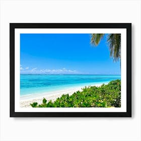 Relax Ocean Plant Idylli Holiday Coastline Beautiful Calm Shore Blue Paradise Sunlight N (20) Art Print