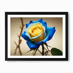 Blue And Yellow Rose Art Print