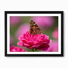 Butterfly On Pink Rose Póster