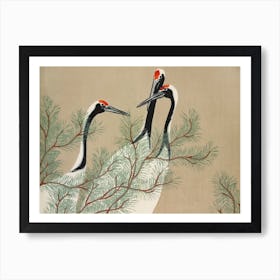 Cranes From Momoyogusa Flowers Of A Hundred Generations (1909), Kamisaka Sekka Art Print