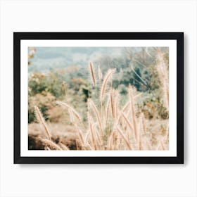 Yellow Grain Catching Sunlight Art Print