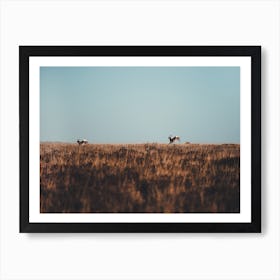 Deer Running Away Art Print