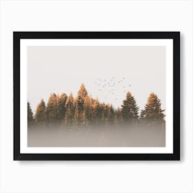 Foggy Fall Trees Art Print