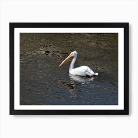 White Pelican on the Mississippi Art Print