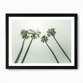 Lovely Vintage Palm Trees In The Sun Art Print