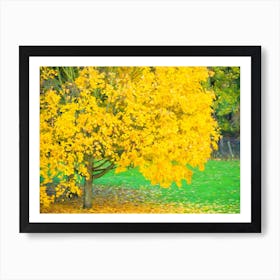 Autumn Tree Of Gold Art Print