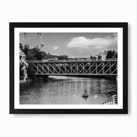 Bridge Novo Mesto Art Print