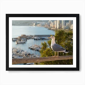 Seagull looks at the marina and the sea Art Print
