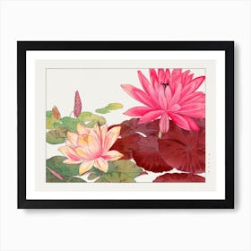 Nymphaea Lotus, Japanese Woodblock Art Art Print