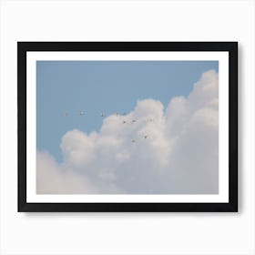 Birds Flying High In Florida Art Print