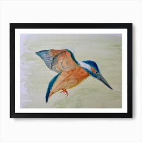 Kingfisher Art Print
