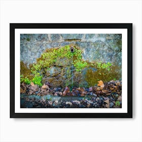 Mossy Stone Wall 202304161747180pub Art Print