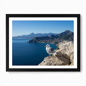 Seagull on the cliffs overlooking the blue Mediterranean Sea Art Print