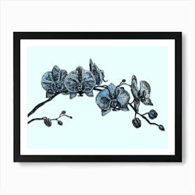 Blue Orchid Flower Illustration Artwork Art Print