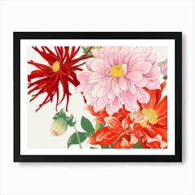 Dahlias 2 Art Print