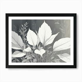 A Black And White Illustration Of A Plant With Large Leaves 1 Art Print