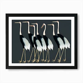 Cranes 1 Art Print