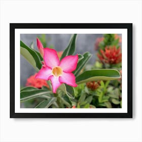 Pink Tropical Flower Art Print