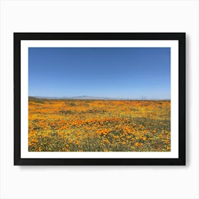 Antelope Valley - poppy flower field Art Print