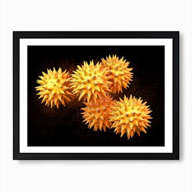 Pollen Grains Asteraceae 03 Art Print