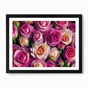 Pink & White Roses Art Print