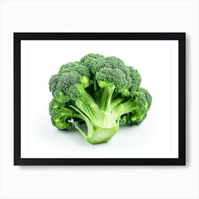 Broccoli Isolated On White Background Art Print