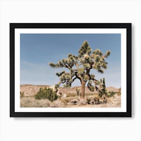 Joshua Tree Plant Life Art Print