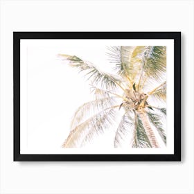 Warm Summer Palm Tree Art Print