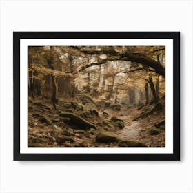 Autumn Forest Art Print