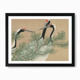 Cranes In A Pine Tree 1 Art Print