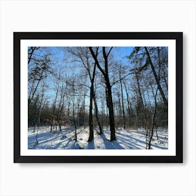 Winter In The Woods 11 Art Print