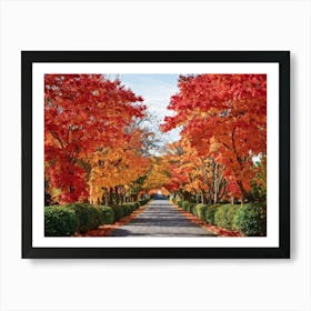 Autumn Foliage Comes Alive In This Design Leaves Flaunting A Riot Of Colors Including Crimson Verm (5) Art Print