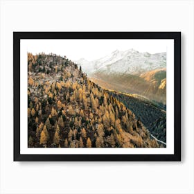 Colorado Autumn Forest Art Print