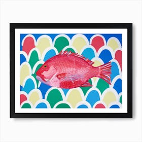 Red Snapper Art Print