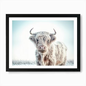 Highland Cow Snowy Field Blue Sky Nature Photography Art Print