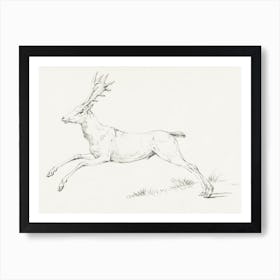 Jumping Deer, Jean Bernard Art Print