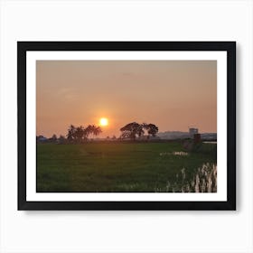 Sunset Over Rice Field Art Print