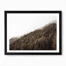 Dense Forest Scenery Art Print