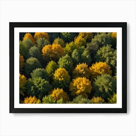 Autumn Trees In The Forest Art Print