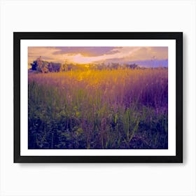 Sunset Over Tall Grass Art Print