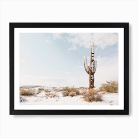 Desert Snow Art Print