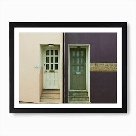 Brighton & Hove Doors Art Print