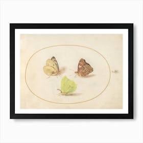 Three Butterflies (c. 1575-1580), Joris Hoefnagel Art Print