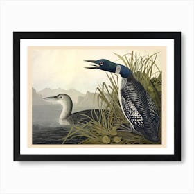 Blue Crane, John James Audubon Art Print