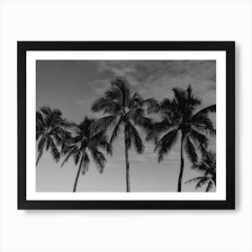 Hawaiian Palms Art Print