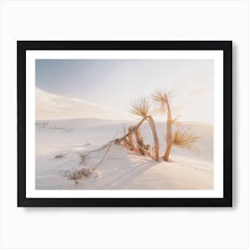 Sunny Sand Dunes Art Print