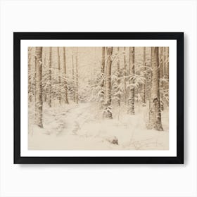 Neutral Winter Forest Sketch Art Print