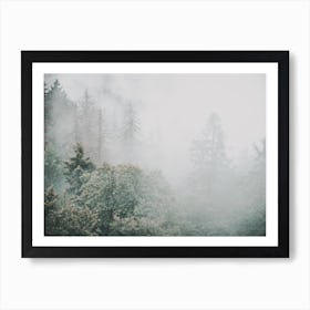 Green Misty Forest Art Print