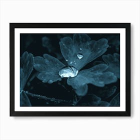 A Drop Of Water In The Grass Under The Night Moonlight Art Print